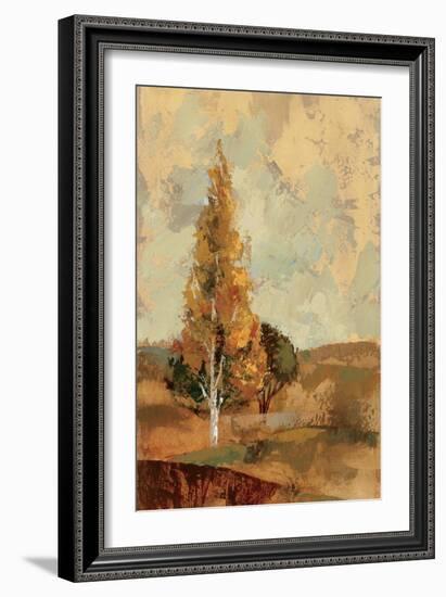 Autumn Hills II-Silvia Vassileva-Framed Art Print