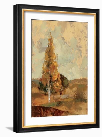 Autumn Hills II-Silvia Vassileva-Framed Art Print