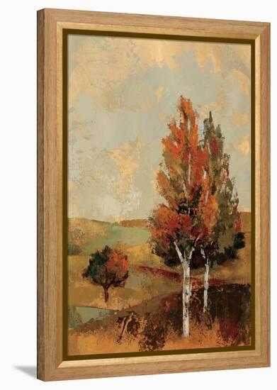 Autumn Hills III-Silvia Vassileva-Framed Stretched Canvas