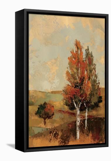 Autumn Hills III-Silvia Vassileva-Framed Stretched Canvas