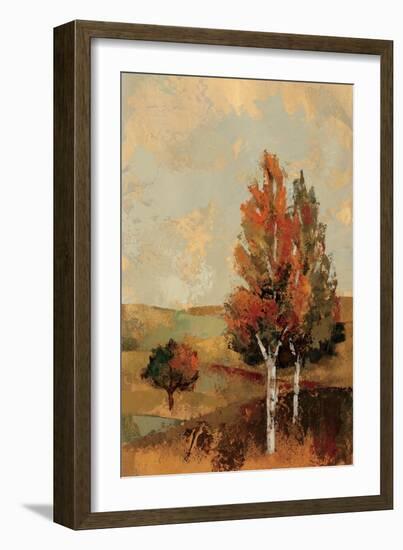 Autumn Hills III-Silvia Vassileva-Framed Art Print