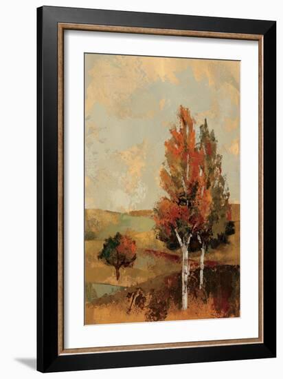 Autumn Hills III-Silvia Vassileva-Framed Art Print