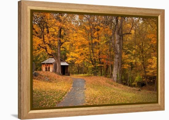 Autumn Home-Natalie Mikaels-Framed Premier Image Canvas