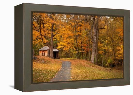 Autumn Home-Natalie Mikaels-Framed Premier Image Canvas
