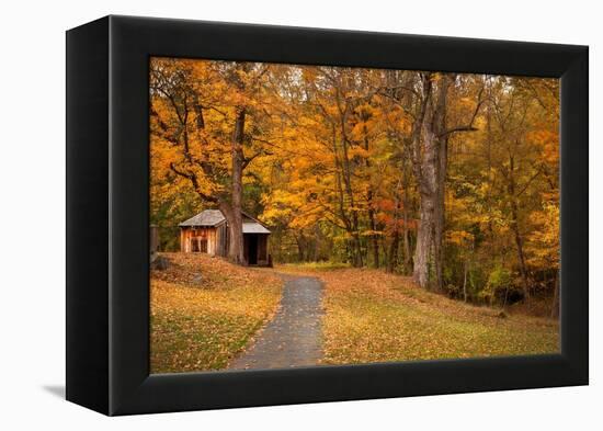 Autumn Home-Natalie Mikaels-Framed Premier Image Canvas