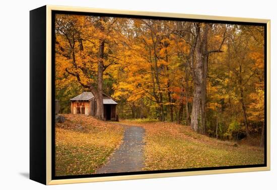 Autumn Home-Natalie Mikaels-Framed Premier Image Canvas