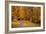 Autumn Home-Natalie Mikaels-Framed Photographic Print