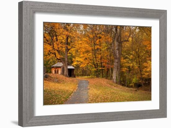 Autumn Home-Natalie Mikaels-Framed Photographic Print