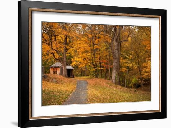 Autumn Home-Natalie Mikaels-Framed Photographic Print