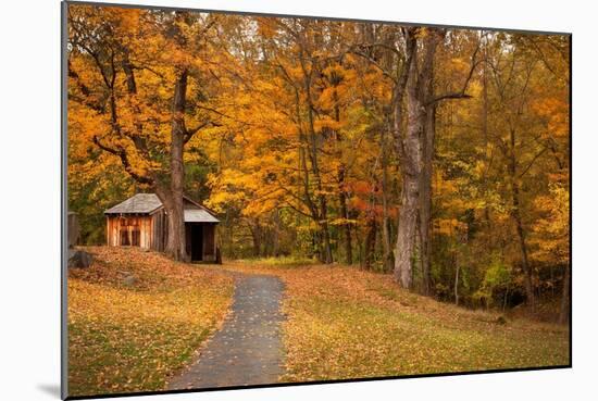 Autumn Home-Natalie Mikaels-Mounted Photographic Print