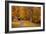 Autumn Home-Natalie Mikaels-Framed Photographic Print