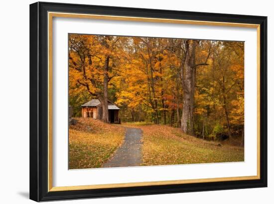 Autumn Home-Natalie Mikaels-Framed Photographic Print