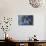 Autumn Hydrangea II-Rita Crane-Photographic Print displayed on a wall