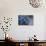 Autumn Hydrangea III-Rita Crane-Photographic Print displayed on a wall
