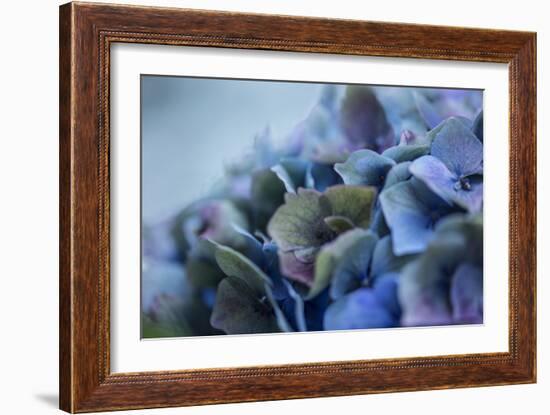 Autumn Hydrangea IV-Rita Crane-Framed Photographic Print