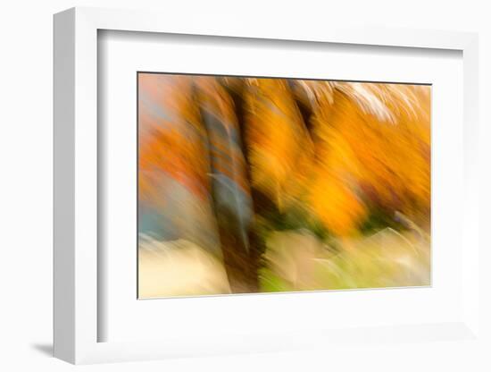 Autumn Impression 1-Ursula Abresch-Framed Photographic Print