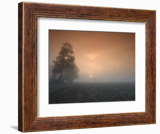 Autumn Impression, Luebbecke, Germany-Thorsten Milse-Framed Photographic Print