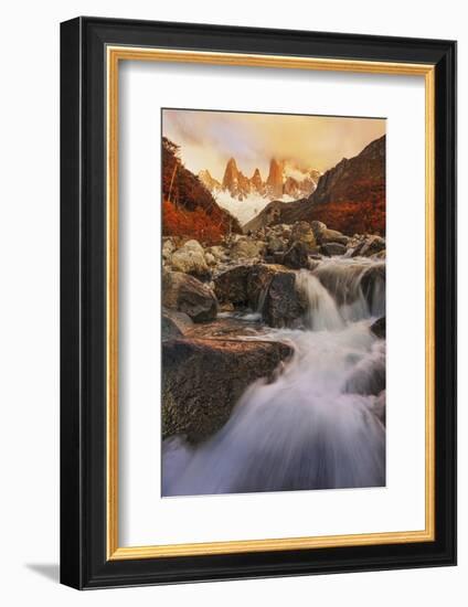 Autumn Impression-Yan Zhang-Framed Photographic Print