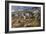 Autumn in Alaska-Trevor V. Swanson-Framed Giclee Print