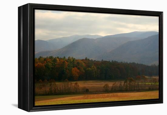 Autumn in Cades Cove, Smoky Mountains National Park, Tennessee, USA-Anna Miller-Framed Premier Image Canvas