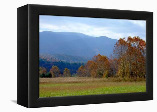 Autumn in Cades Cove, Smoky Mountains National Park, Tennessee, USA-Anna Miller-Framed Premier Image Canvas