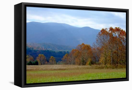 Autumn in Cades Cove, Smoky Mountains National Park, Tennessee, USA-Anna Miller-Framed Premier Image Canvas