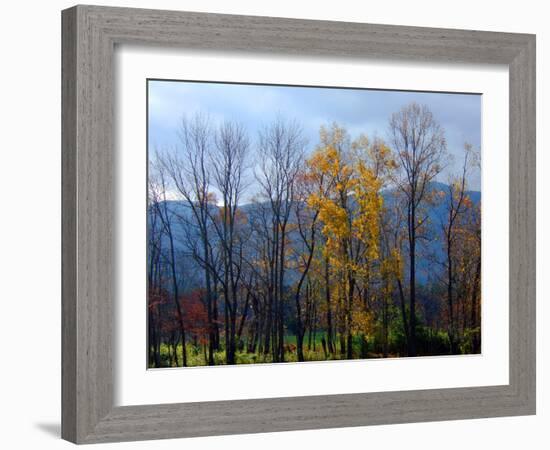 Autumn in Cades Cove, Smoky Mountains National Park, Tennessee, USA-Anna Miller-Framed Photographic Print