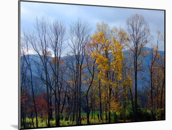 Autumn in Cades Cove, Smoky Mountains National Park, Tennessee, USA-Anna Miller-Mounted Photographic Print