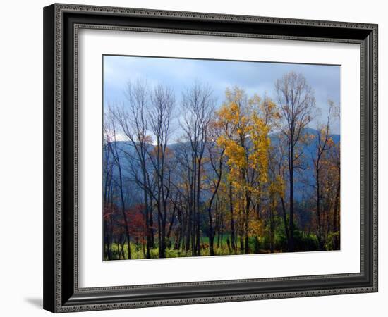 Autumn in Cades Cove, Smoky Mountains National Park, Tennessee, USA-Anna Miller-Framed Photographic Print