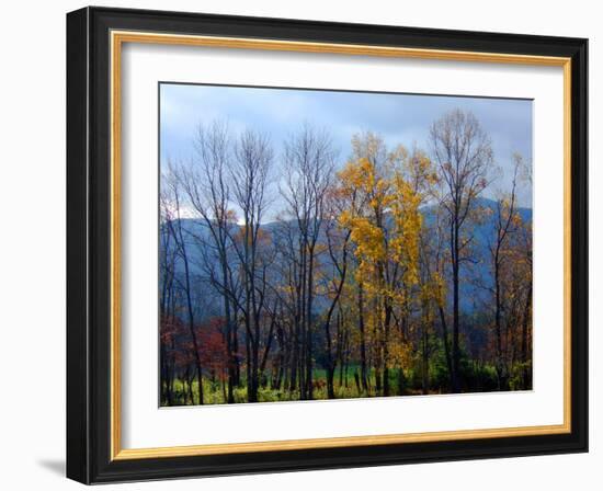 Autumn in Cades Cove, Smoky Mountains National Park, Tennessee, USA-Anna Miller-Framed Photographic Print