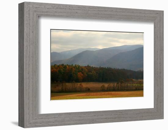 Autumn in Cades Cove, Smoky Mountains National Park, Tennessee, USA-Anna Miller-Framed Photographic Print