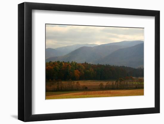 Autumn in Cades Cove, Smoky Mountains National Park, Tennessee, USA-Anna Miller-Framed Photographic Print