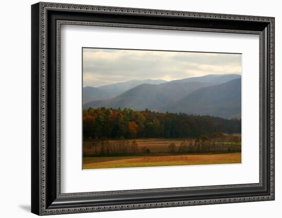 Autumn in Cades Cove, Smoky Mountains National Park, Tennessee, USA-Anna Miller-Framed Photographic Print