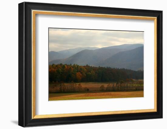 Autumn in Cades Cove, Smoky Mountains National Park, Tennessee, USA-Anna Miller-Framed Photographic Print