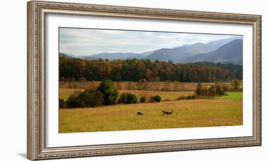 Autumn in Cades Cove, Smoky Mountains National Park, Tennessee, USA-Anna Miller-Framed Photographic Print