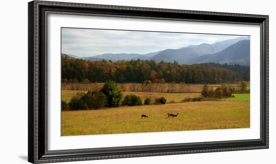 Autumn in Cades Cove, Smoky Mountains National Park, Tennessee, USA-Anna Miller-Framed Photographic Print