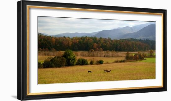 Autumn in Cades Cove, Smoky Mountains National Park, Tennessee, USA-Anna Miller-Framed Photographic Print