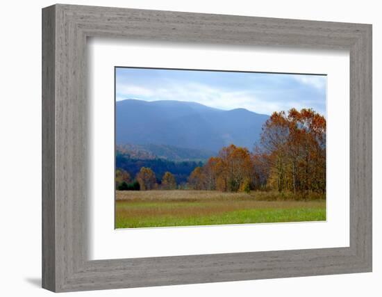 Autumn in Cades Cove, Smoky Mountains National Park, Tennessee, USA-Anna Miller-Framed Photographic Print