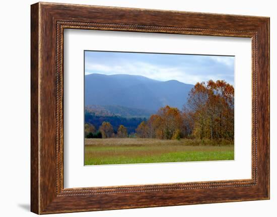 Autumn in Cades Cove, Smoky Mountains National Park, Tennessee, USA-Anna Miller-Framed Photographic Print