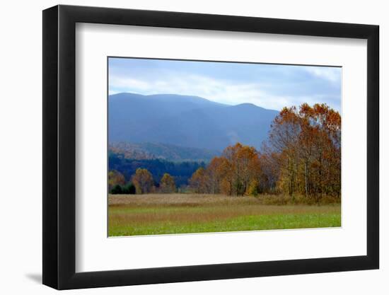 Autumn in Cades Cove, Smoky Mountains National Park, Tennessee, USA-Anna Miller-Framed Photographic Print