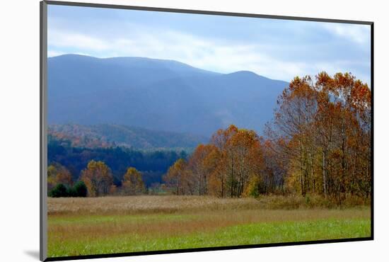 Autumn in Cades Cove, Smoky Mountains National Park, Tennessee, USA-Anna Miller-Mounted Photographic Print