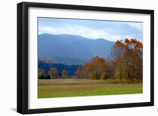 Autumn in Cades Cove, Smoky Mountains National Park, Tennessee, USA-Anna Miller-Framed Photographic Print