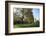 Autumn in Hyde Park, London, England, United Kingdom, Europe-Ethel Davies-Framed Photographic Print