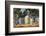 Autumn in Jamestown by Lavere Hutchings-Richard Hutchings-Framed Photographic Print