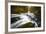 Autumn In Jura-Mathieu Rivrin-Framed Photographic Print