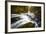 Autumn In Jura-Mathieu Rivrin-Framed Photographic Print