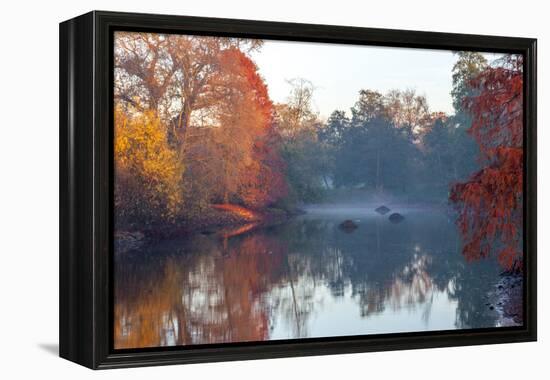 Autumn in Kew Gardens, UNESCO World Heritage Site, Kew, Greater London, England, UK-Simon Montgomery-Framed Premier Image Canvas