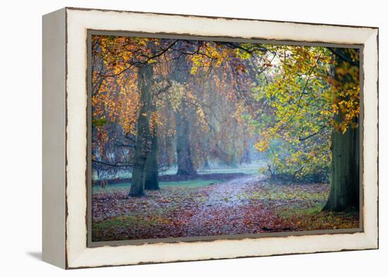 Autumn in Kew Gardens, UNESCO World Heritage Site, Kew, Greater London, England, UK-Simon Montgomery-Framed Premier Image Canvas