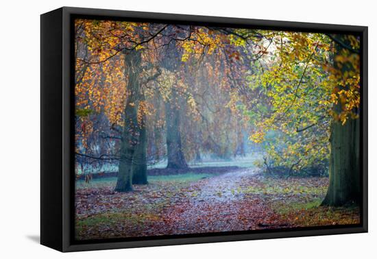 Autumn in Kew Gardens, UNESCO World Heritage Site, Kew, Greater London, England, UK-Simon Montgomery-Framed Premier Image Canvas