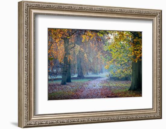 Autumn in Kew Gardens, UNESCO World Heritage Site, Kew, Greater London, England, UK-Simon Montgomery-Framed Photographic Print